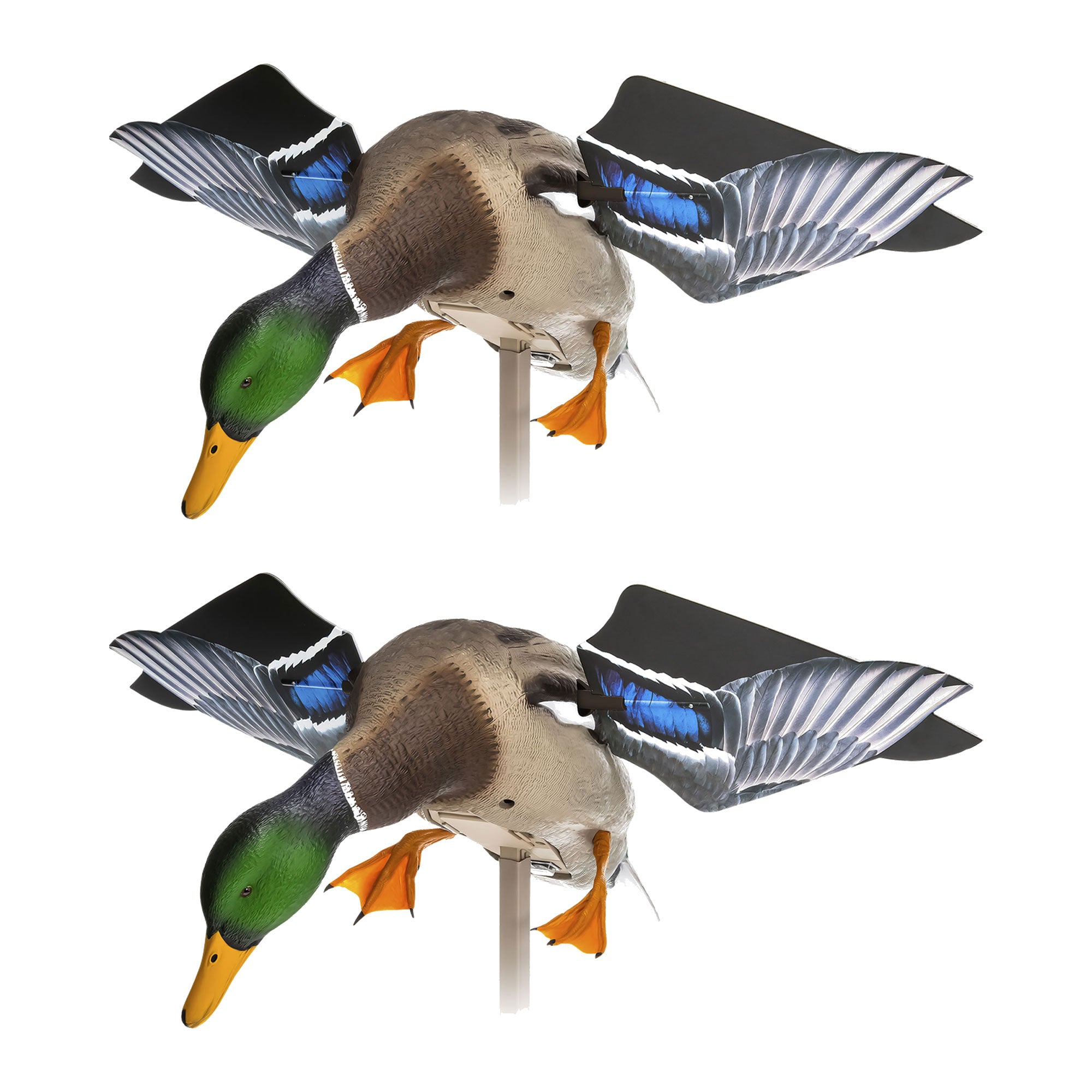 Avian X PowerFlight Mallard Weatherproof Realistic Spin Wing Duck Decoy, 2 Pack - VMInnovations