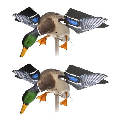 Avian X PowerFlight Mallard Weatherproof Realistic Spin Wing Duck Decoy, 2 Pack - VMInnovations
