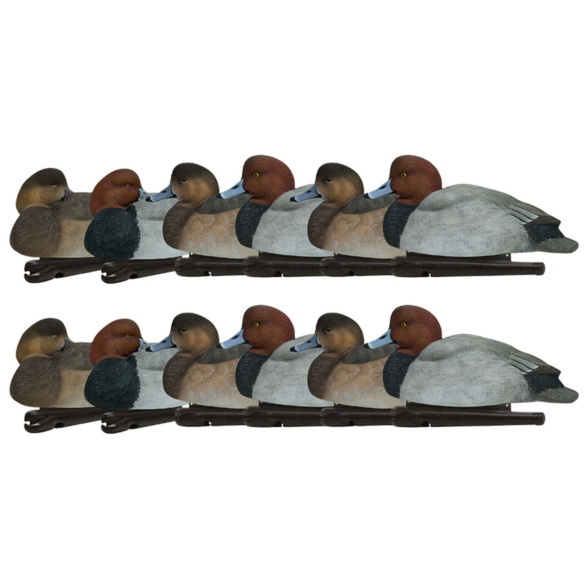 Avian X Topflight Redheads Realistic Decoys w/ Weight Forward Swim Keel, 12 Pack