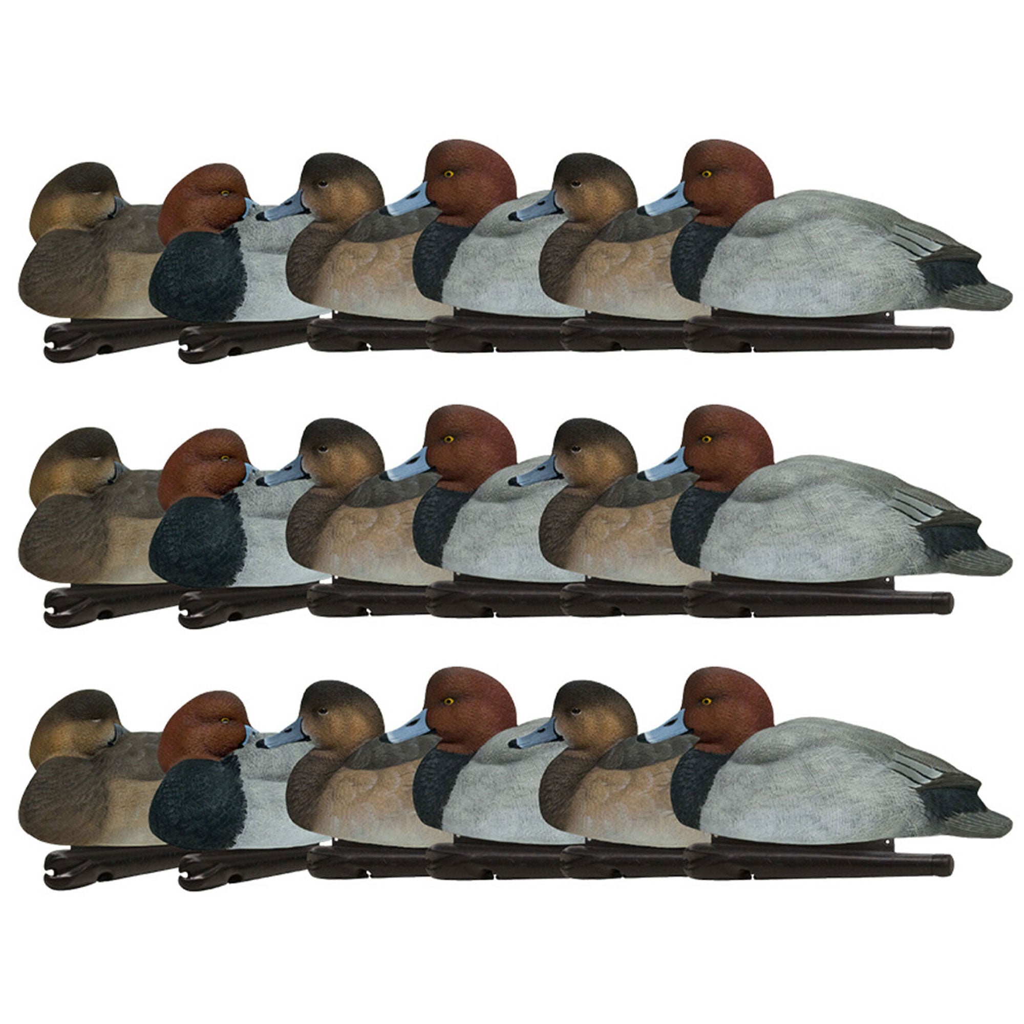 Avian X Topflight Redheads Realistic Decoys w/ Weight Forward Swim Keel, 18 Pack