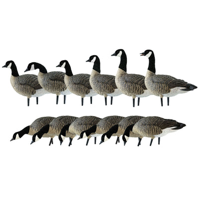 Avian Topflight Early Season Teal Bundled with AXP Honkers Realistic Decoy Sets