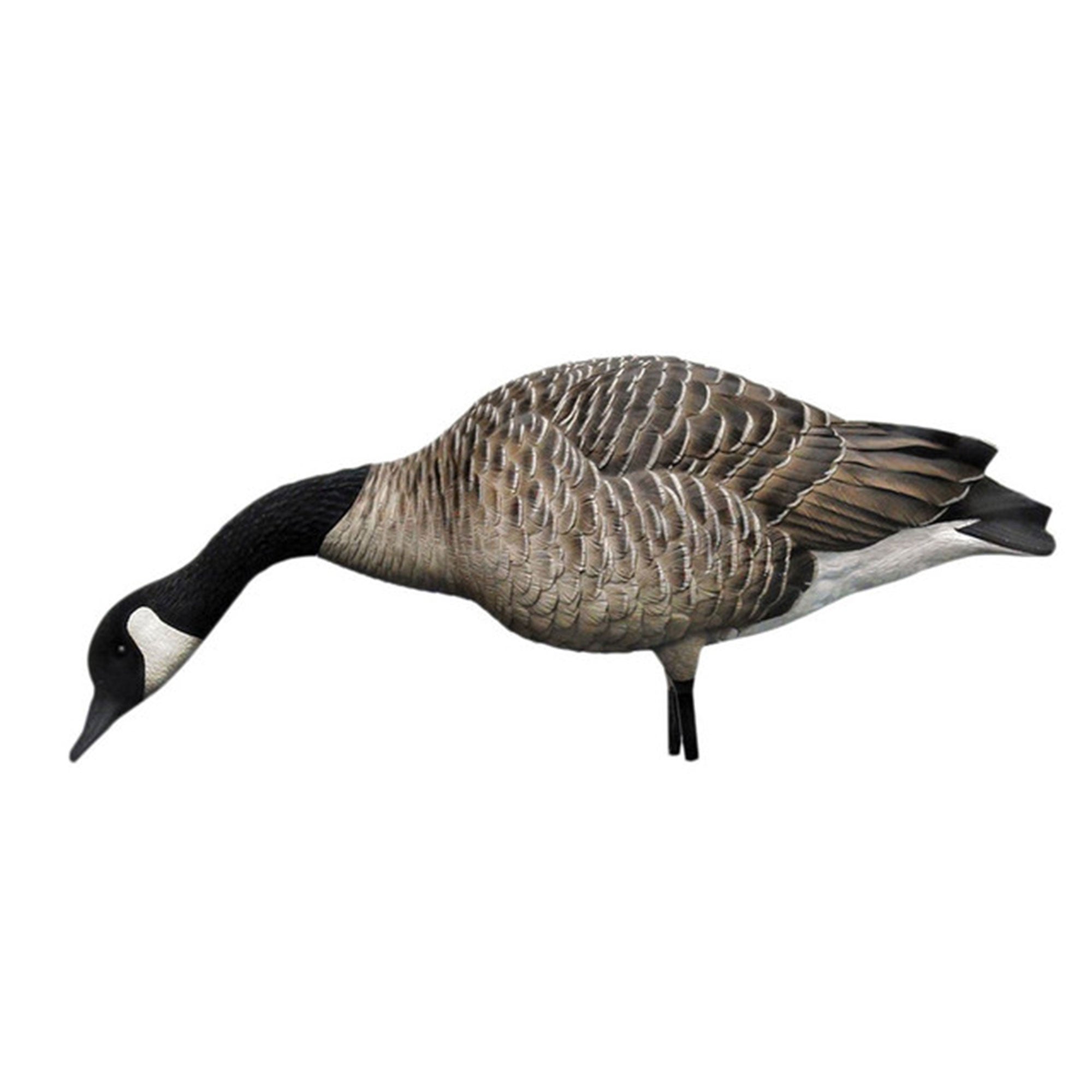 Avian X AXP Honkers Goose Decoy Feeder with AXP Full Body Canada Goose Decoys