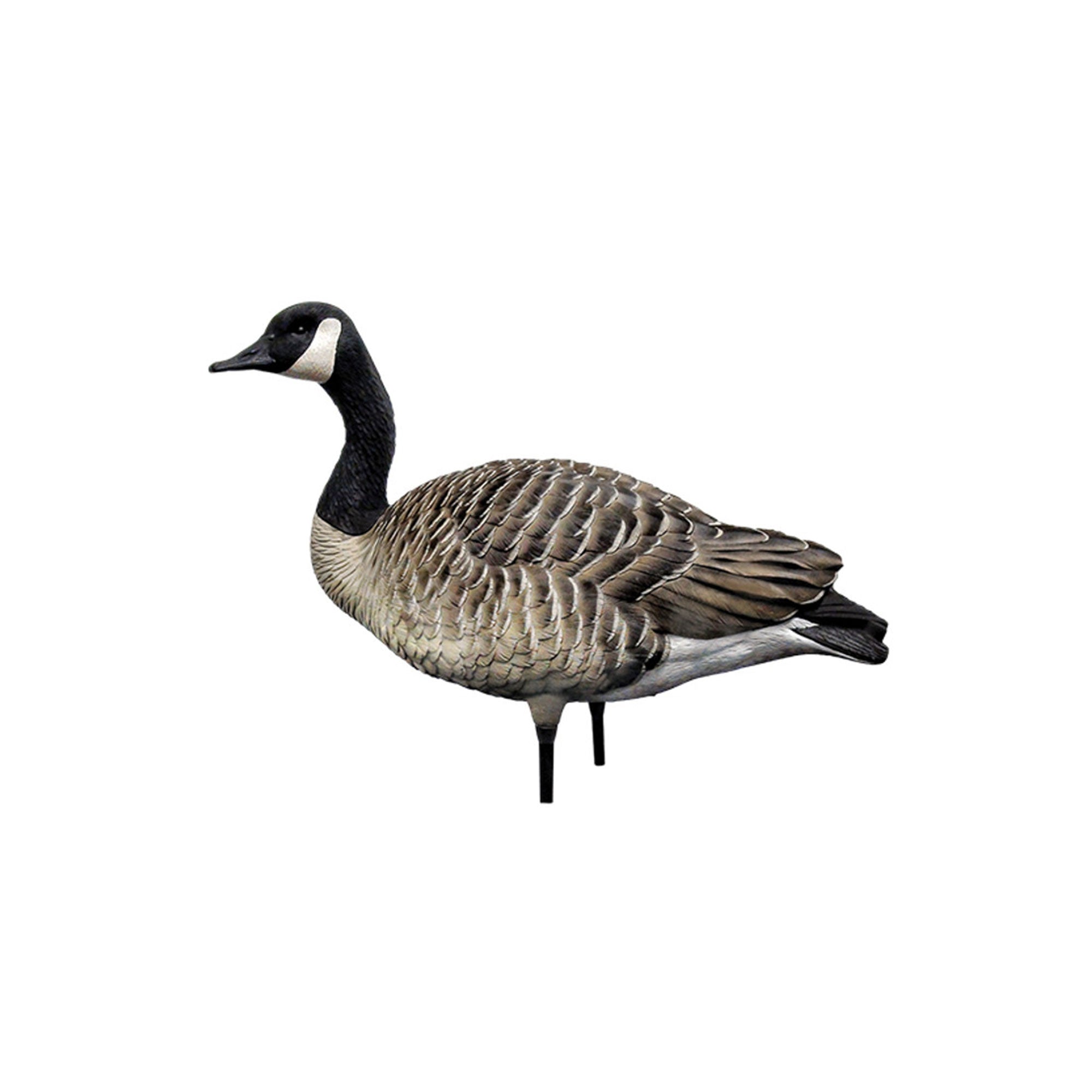 Avian X AXP Honkers Goose Decoy Feeder with AXP Full Body Canada Goose Decoys