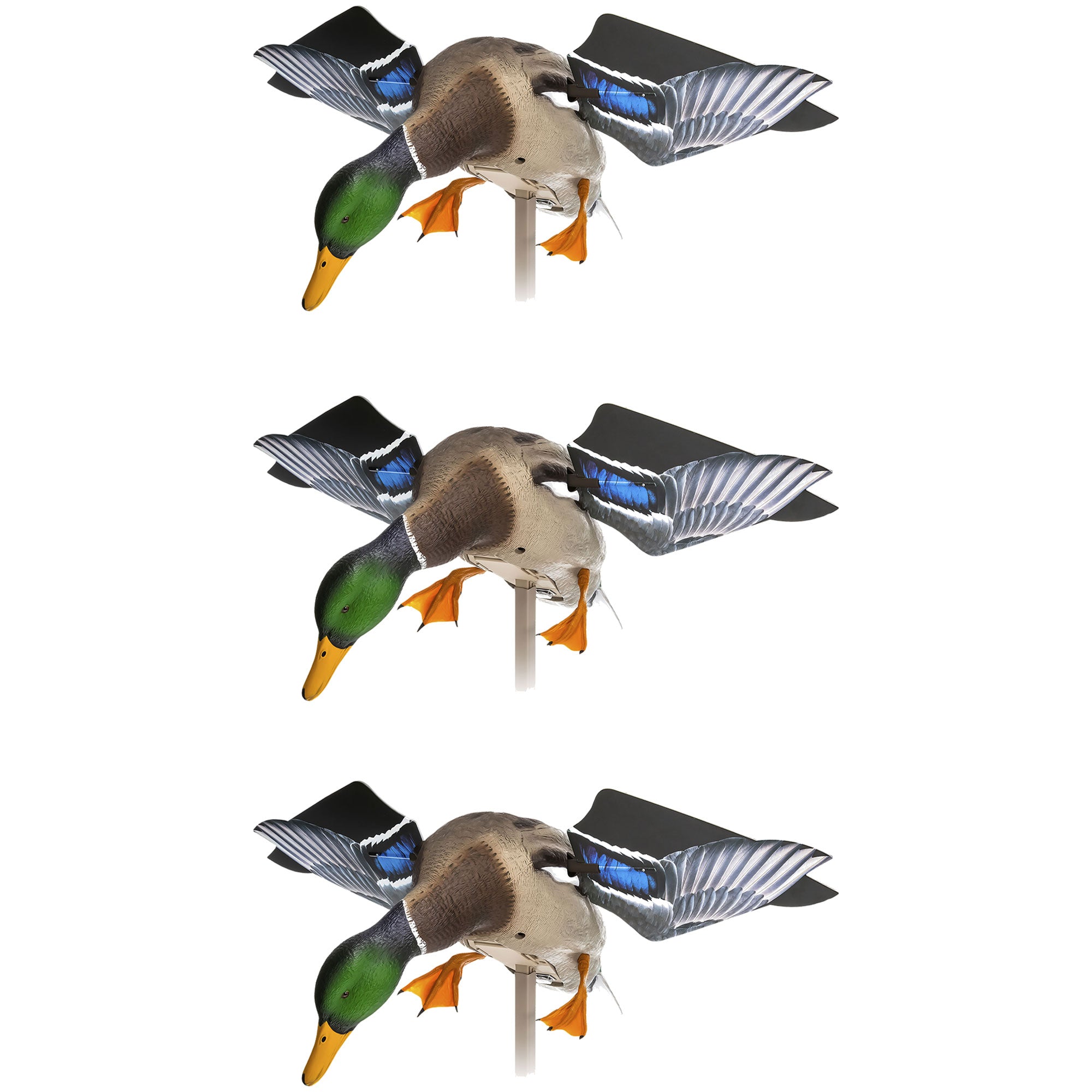 Avian X PowerFlight Mallard Weatherproof Realistic Spin Wing Duck Decoy, 3 Pack