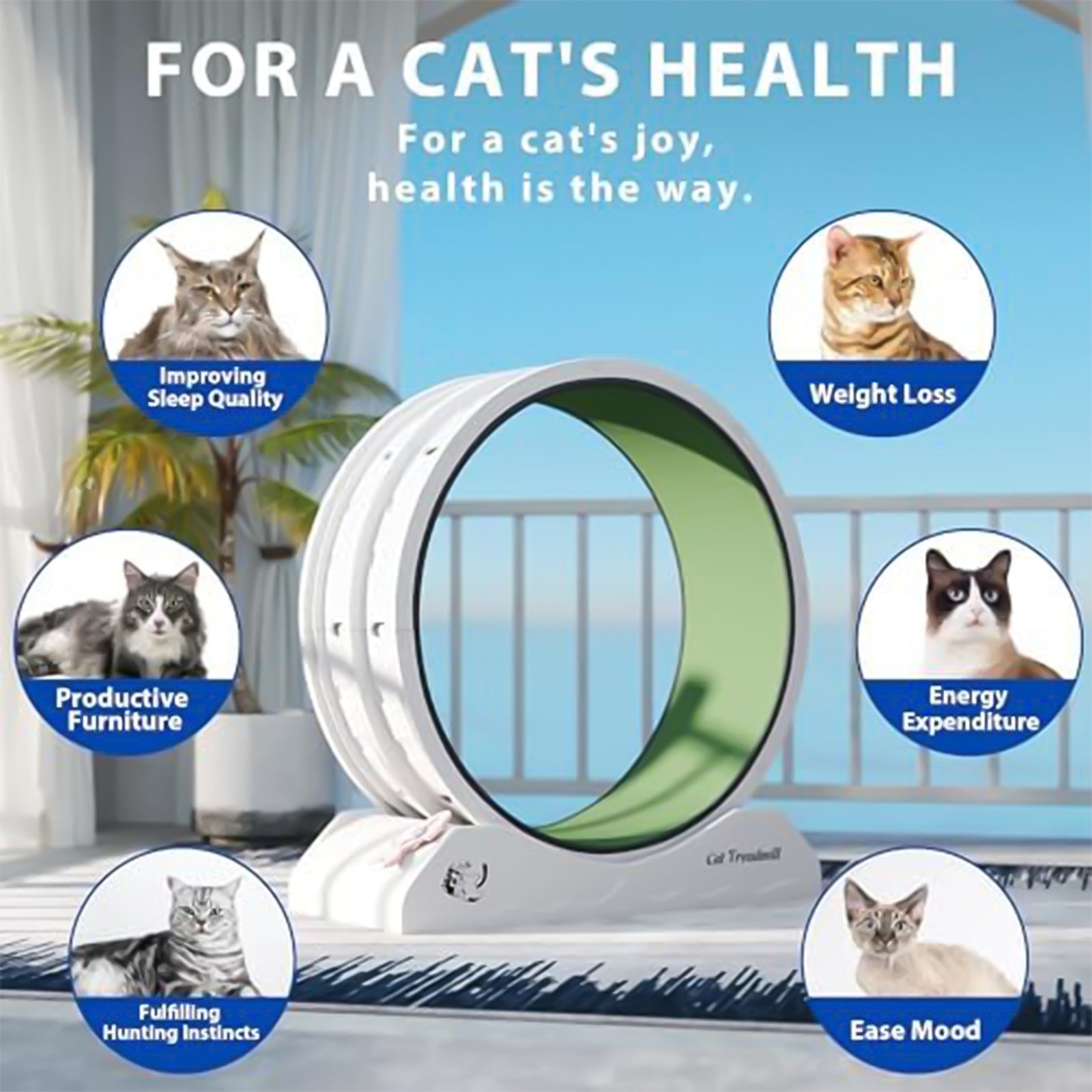 COZIWOW Lockable 31.5” Cat Exercise Wheel Treadmill with Removable Carpet, Grey - VMInnovations