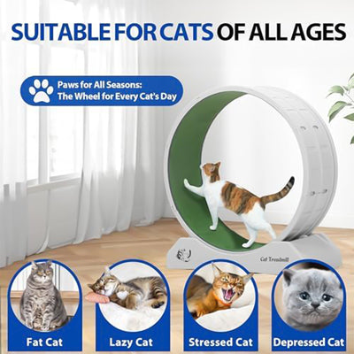 COZIWOW Lockable 31.5” Cat Exercise Wheel Treadmill with Removable Carpet, Grey - VMInnovations
