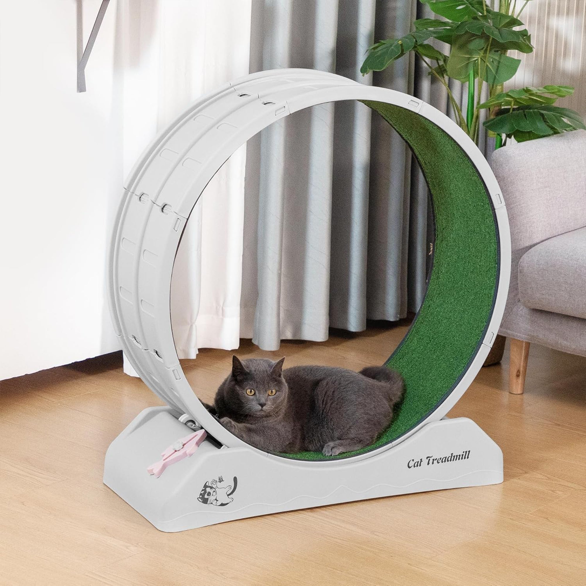 COZIWOW Lockable 31.5” Cat Exercise Wheel Treadmill with Removable Carpet, Grey - VMInnovations