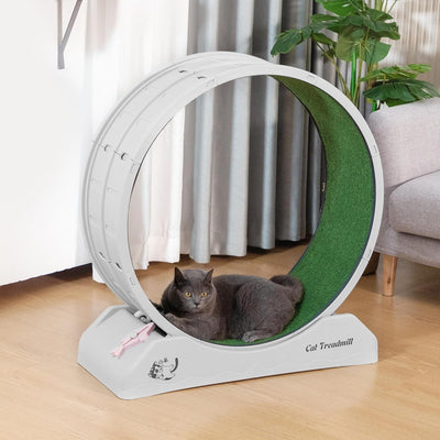 COZIWOW Lockable 31.5” Cat Exercise Wheel Treadmill with Removable Carpet, Grey - VMInnovations
