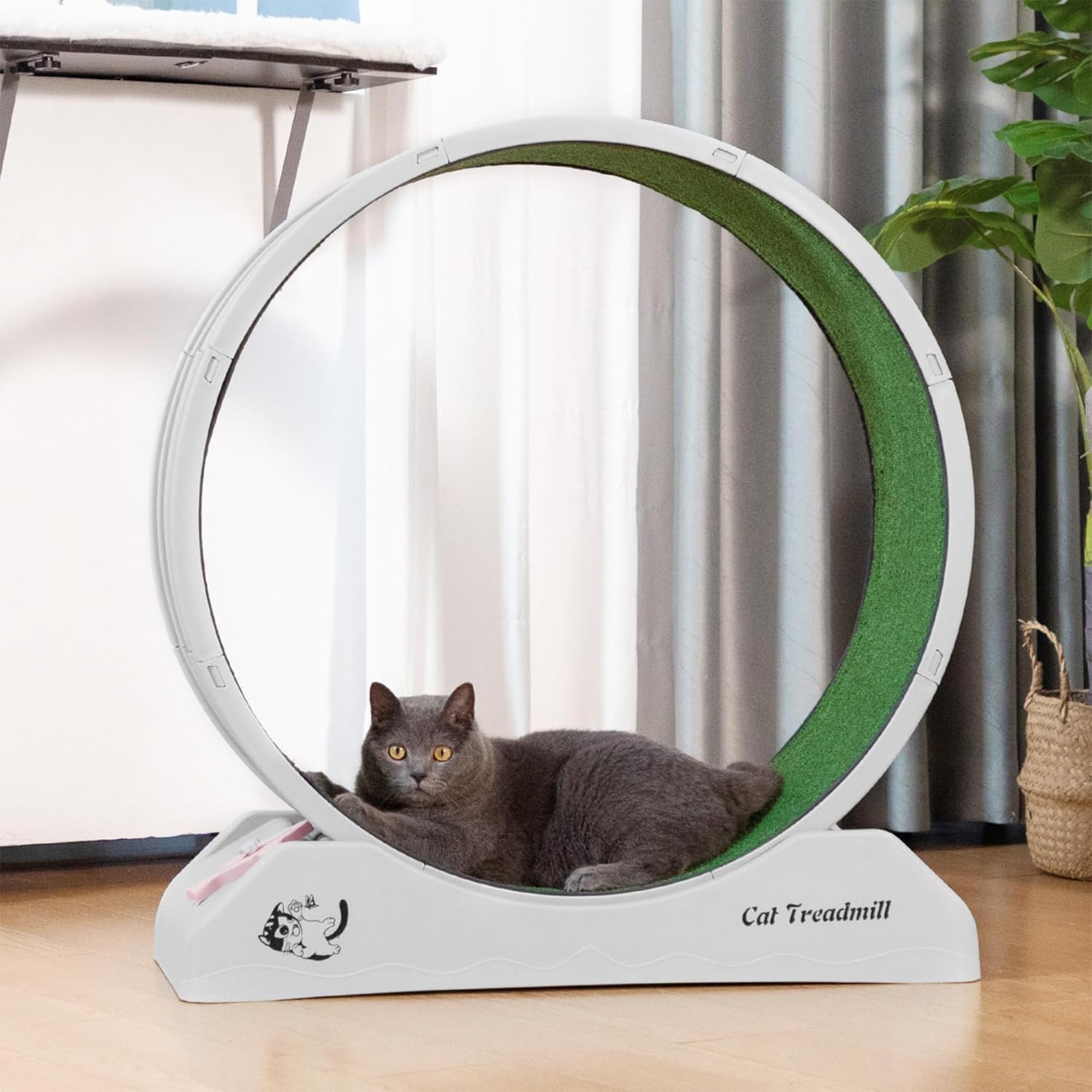 COZIWOW Lockable 31.5” Cat Exercise Wheel Treadmill with Removable Carpet, Grey - VMInnovations