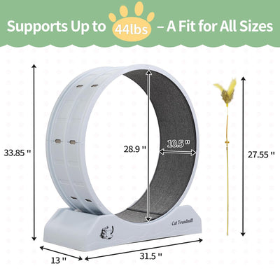 COZIWOW 31.5” Lockable Cat Exercise Wheel with Removable Carpet, Light Grey - VMInnovations