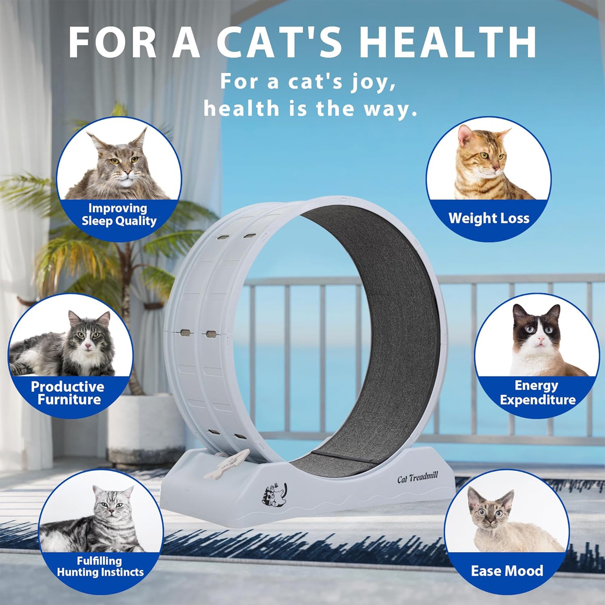 COZIWOW 31.5” Lockable Cat Exercise Wheel with Removable Carpet, Light Grey - VMInnovations