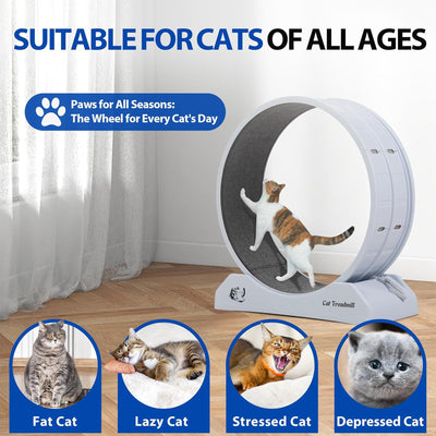 COZIWOW 31.5” Lockable Cat Exercise Wheel with Removable Carpet, Light Grey - VMInnovations