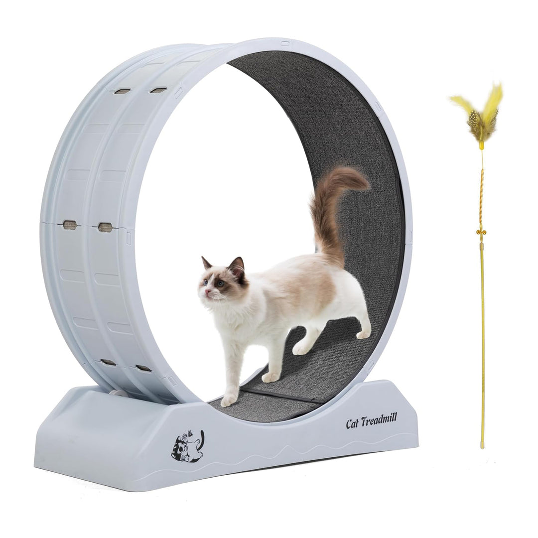 COZIWOW 31.5” Lockable Cat Exercise Wheel with Removable Carpet, Light Grey