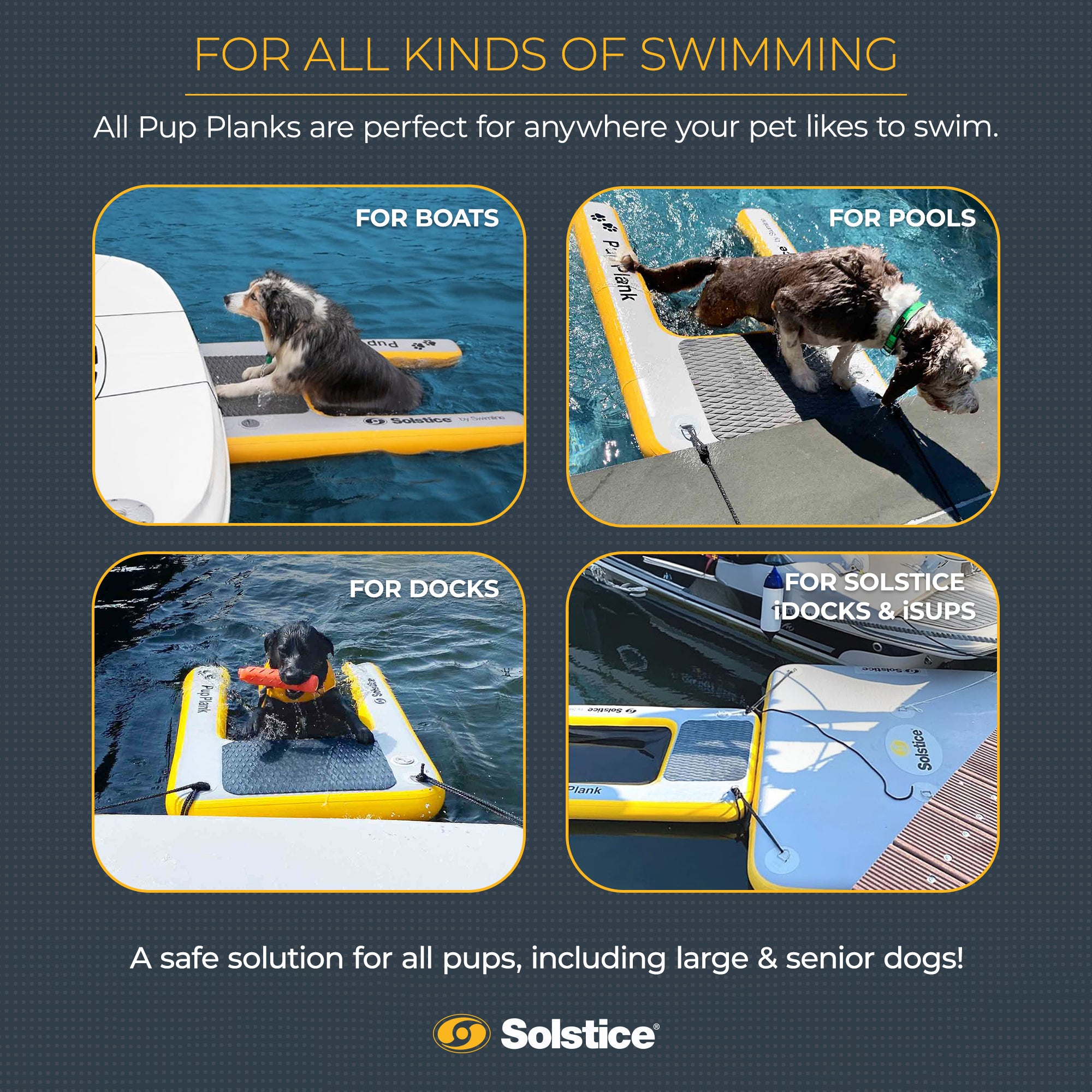 Solstice Inflatable Pup Plank Dog Float Floating Ramp Ladder for Pools (Used)