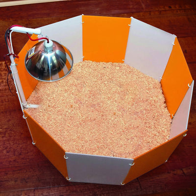 Farm Innovators Baby Chick Starter Home for Lawn and Poultry Habitat Supplies - VMInnovations