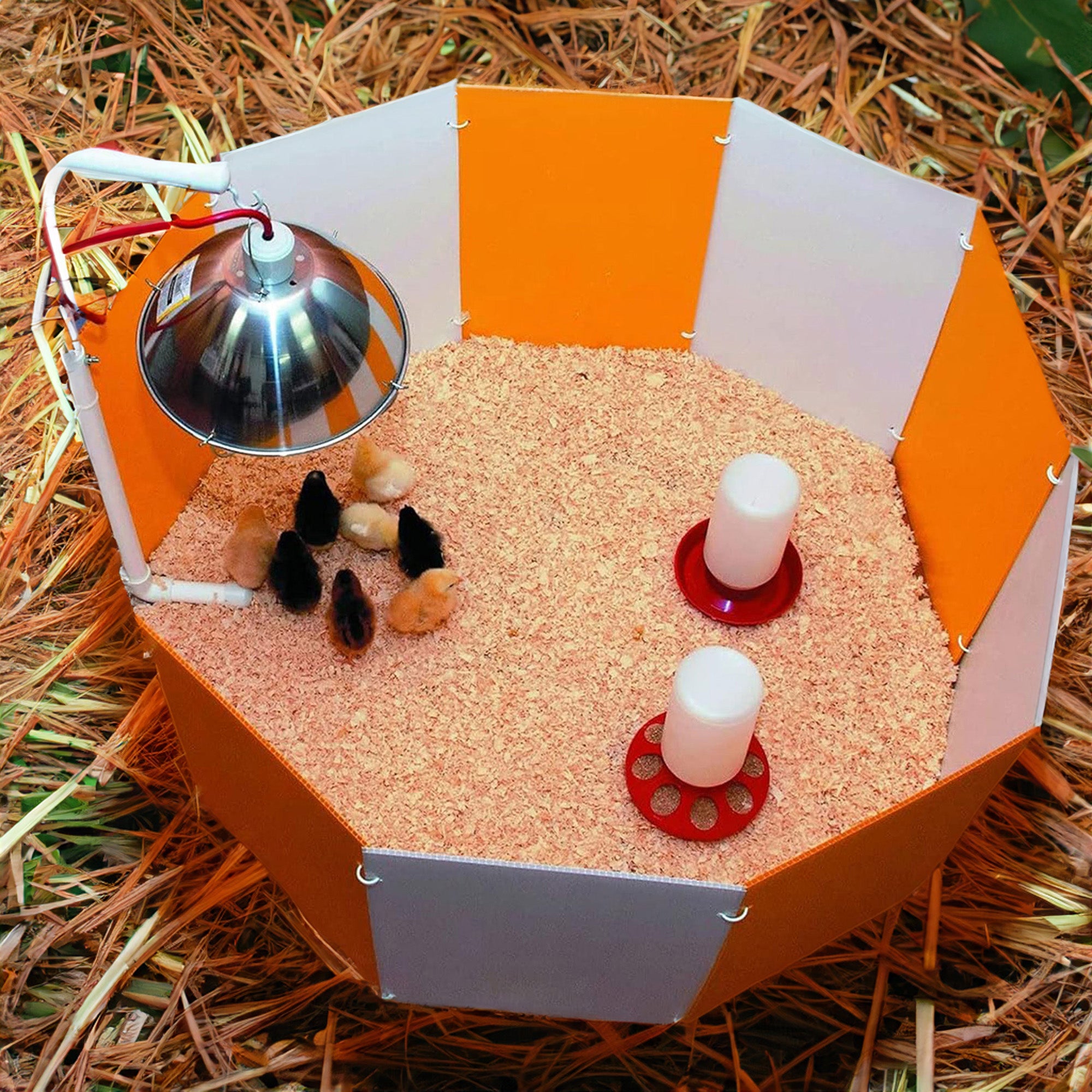 Farm Innovators Baby Chick Starter Home for Lawn and Poultry Habitat Supplies - VMInnovations