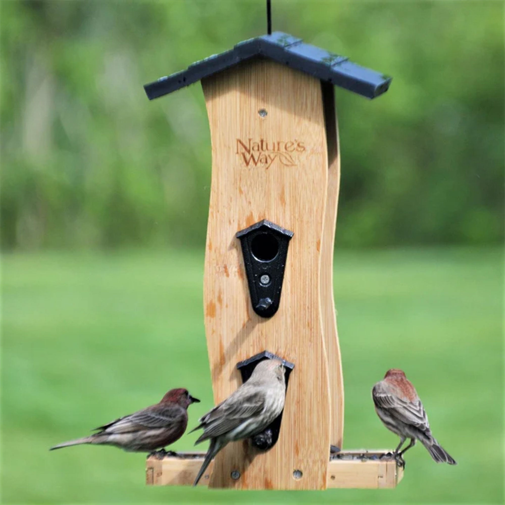 Nature's Way 2 Pack Bamboo Bird Feeder with Removable Fresh Seed Tray for Birds - VMInnovations