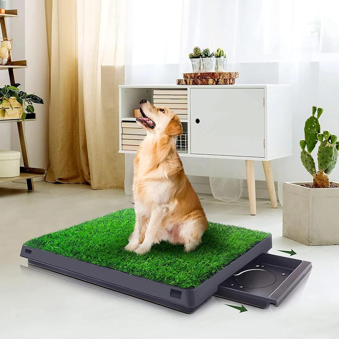 COZIWOW Dog Grass Pad with Tray and 3 Layer System for Puppy Training, Green