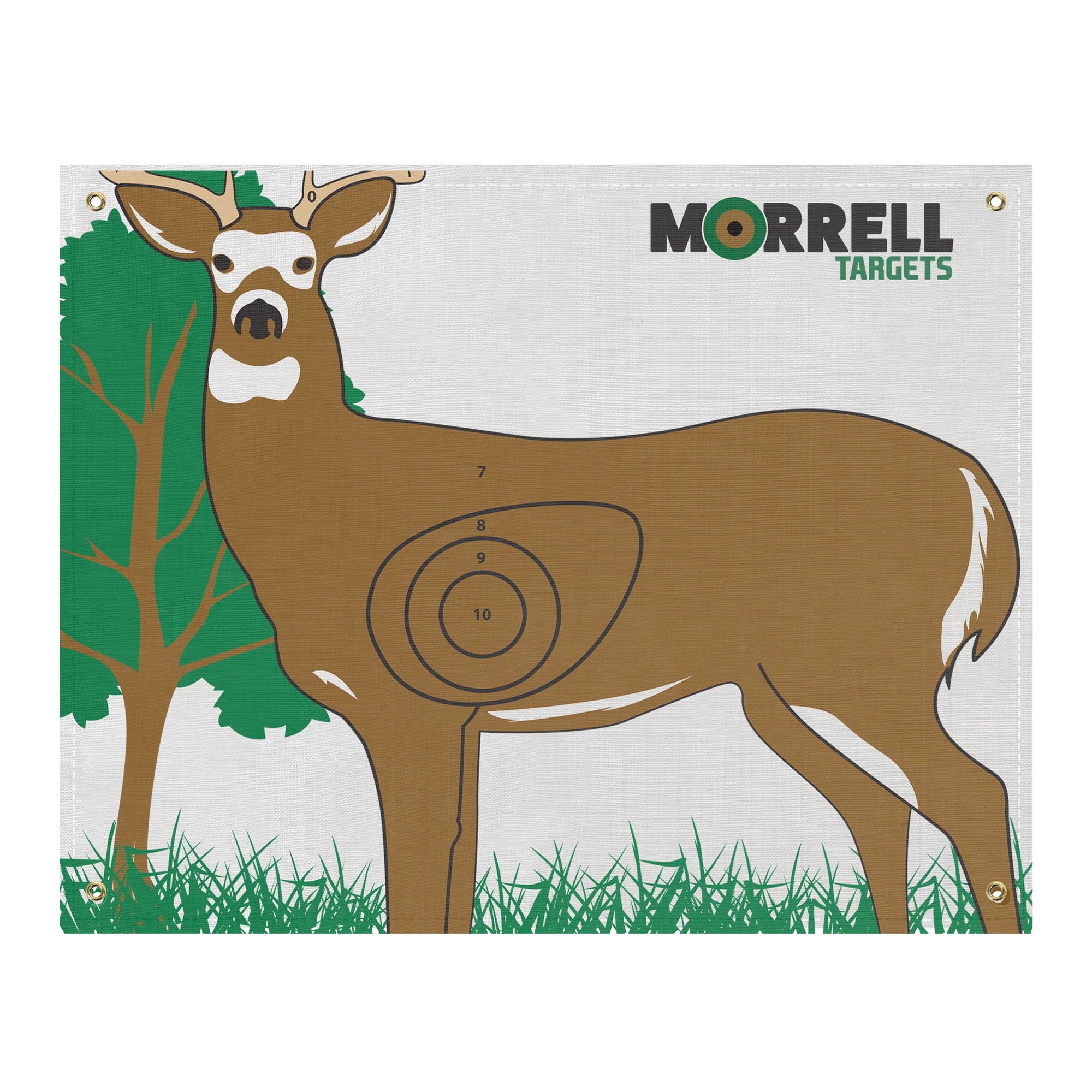 Morrell Targets Whitetail Deer IBO/NASP Archery Shooting Target Face for Hunting - VMInnovations