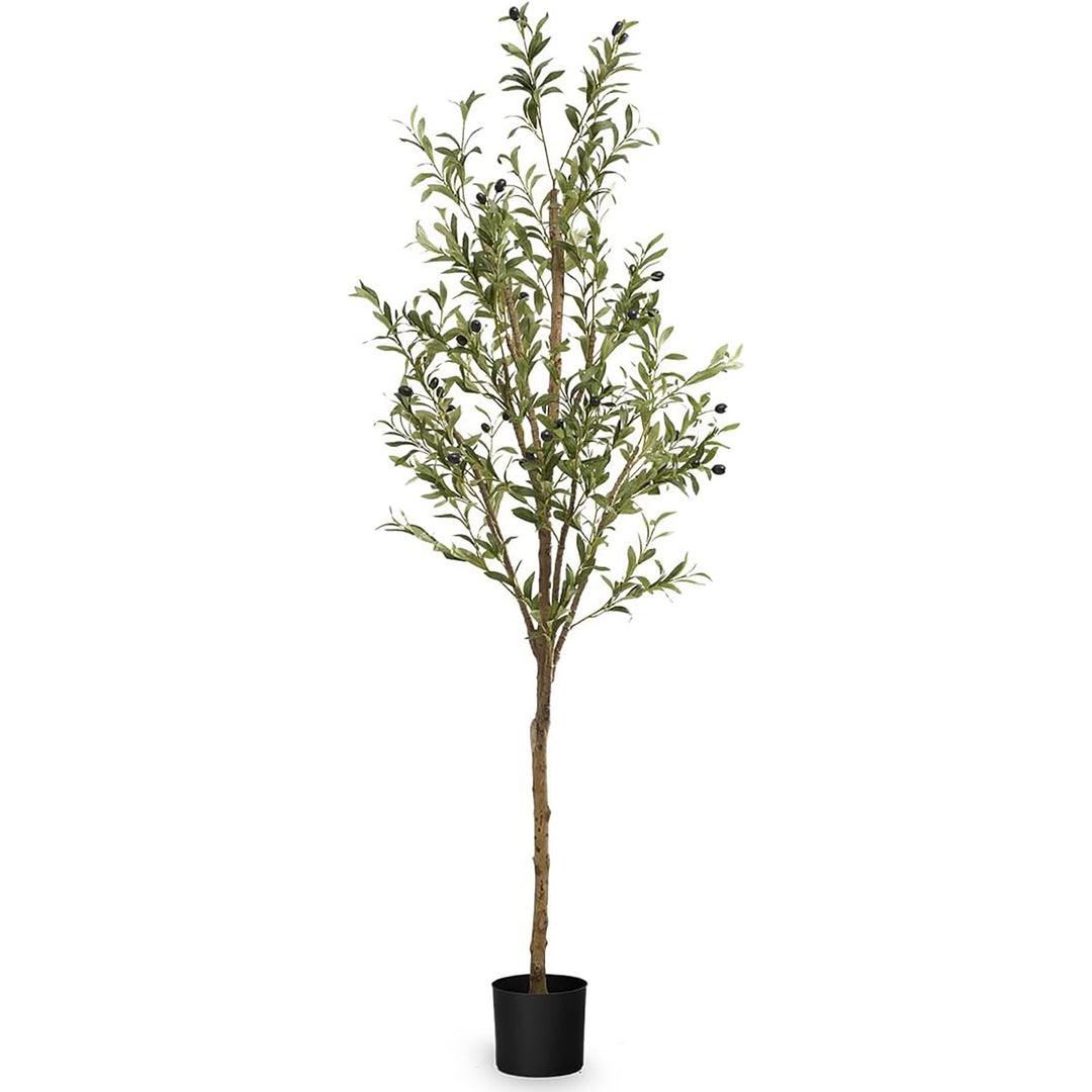 Maia Shop Olive Tree 6 Foot Faux Plant, Fake Silk Tree with Realistic Leaves