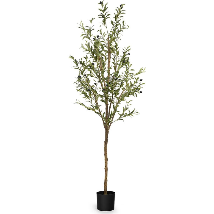 Maia Shop Olive Tree 6 Foot Faux Plant, Fake Silk Tree (Open Box)