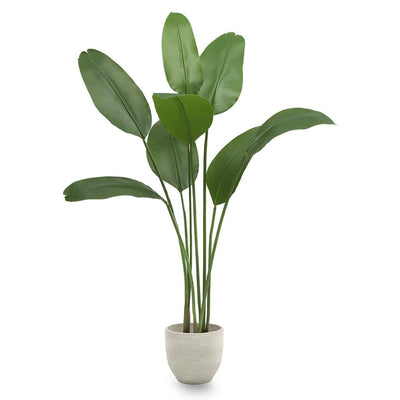 Maia Shop Bird of Paradise 5 Ft Faux Plant, Fake Silk Tree with Realistic Leaves - VMInnovations