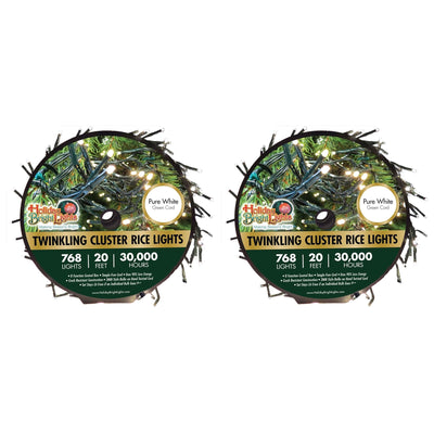 Holiday Bright Lights 2 Pack 20 Foot Twinkling Cluster Indoor/Outdoor Lights