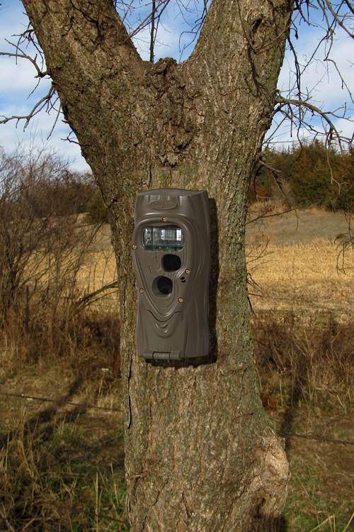 CUDDEBACK Attack 1149 5 MP Trail Game Camera - Deer Hunting Day & Night Photos