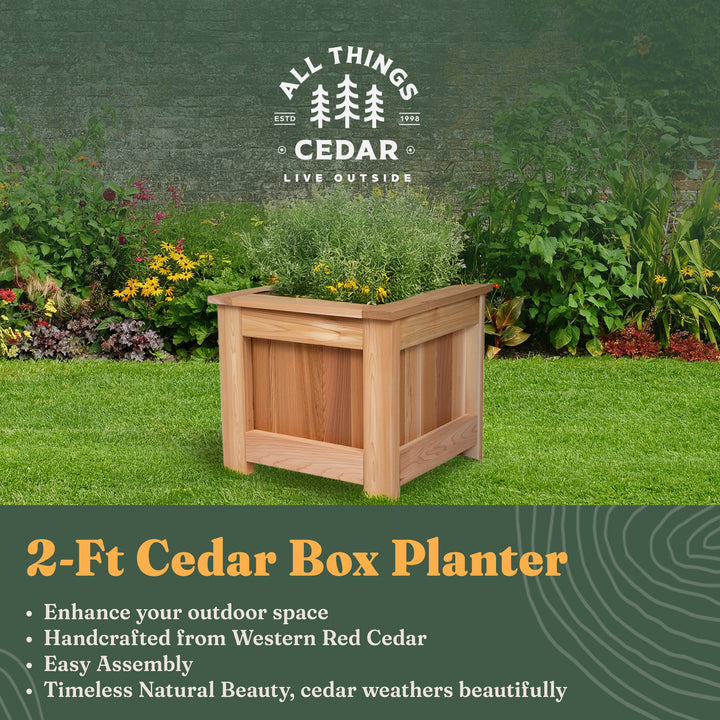 All Things Cedar 2 Foot Cedar Box Planter, Elevated Outdoor Garden Bed, Natural