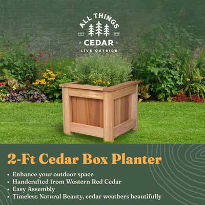 All Things Cedar 2' Cedar Box Planter, Elevated Outdoor Garden Bed (Open Box) - VMInnovations