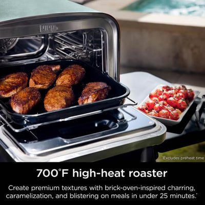 Ninja Woodfire 8-in-1 Outdoor Smoker Pizza Oven with 5 Pizza Settings, Green - VMInnovations