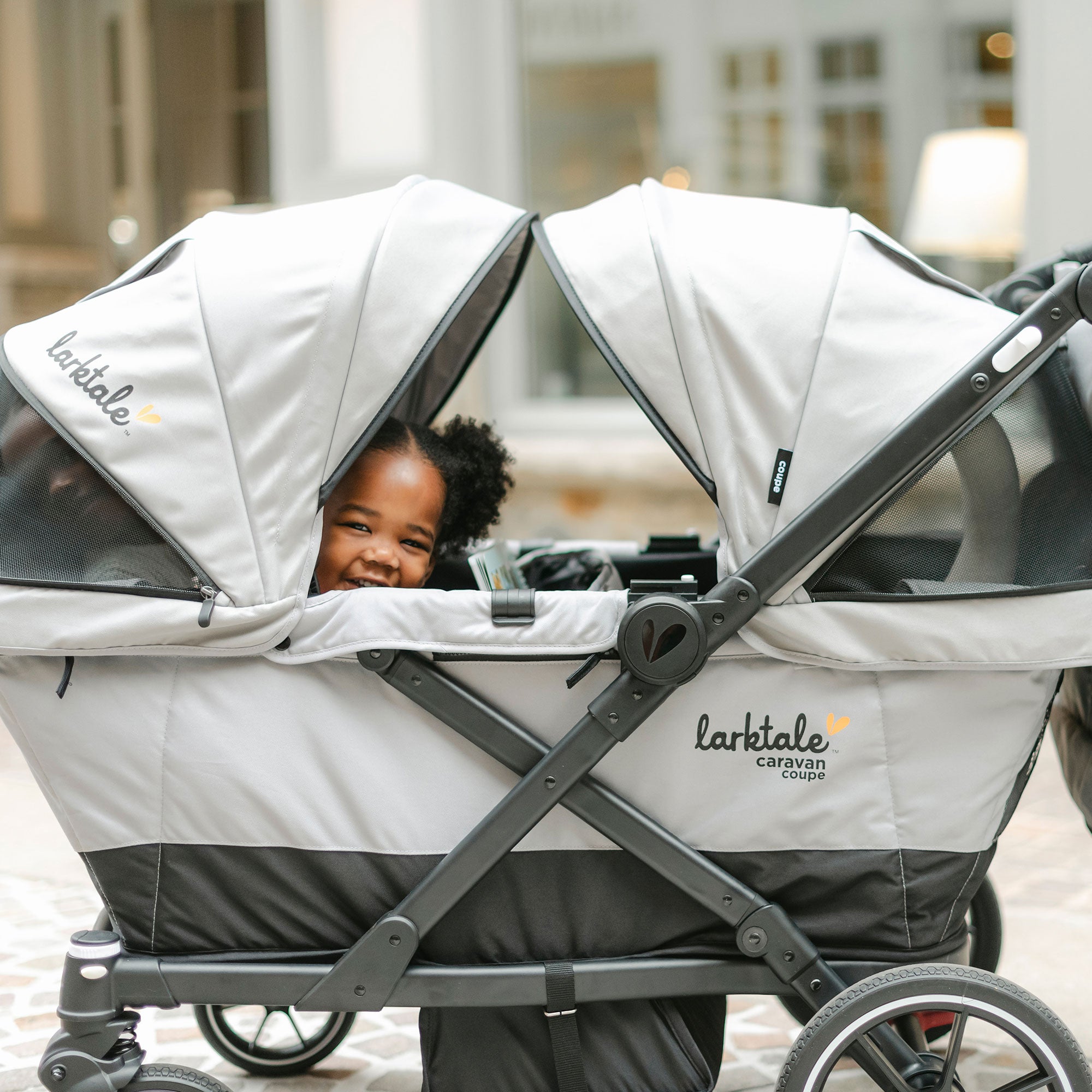 Larktale Caravan Quad Stroller, 4-Seater Wagon, 214 lb Capacity, Avalon Gray - VMInnovations