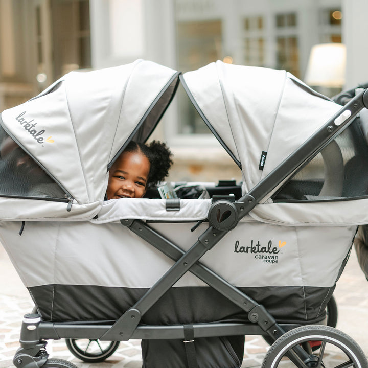 Larktale Caravan Quad Stroller, 4-Seater Wagon, 214 lb Capacity, Avalon Gray