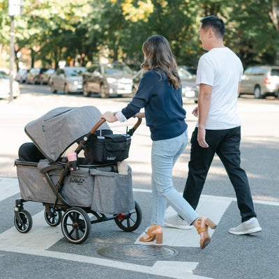 Larktale Sprout V2 Adjustable Stroller 2 Seater Wagon, 120 lb Capacity, Gray - VMInnovations