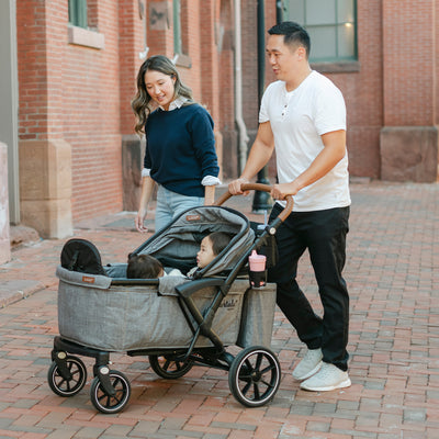 Larktale Sprout V2 Adjustable Stroller 2 Seater Wagon, 120 lb Capacity, Gray - VMInnovations