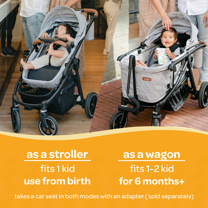 Larktale Crossover V2 All-In-One Stroller 2 Seater Wagon, 120 lb Capacity, Gray