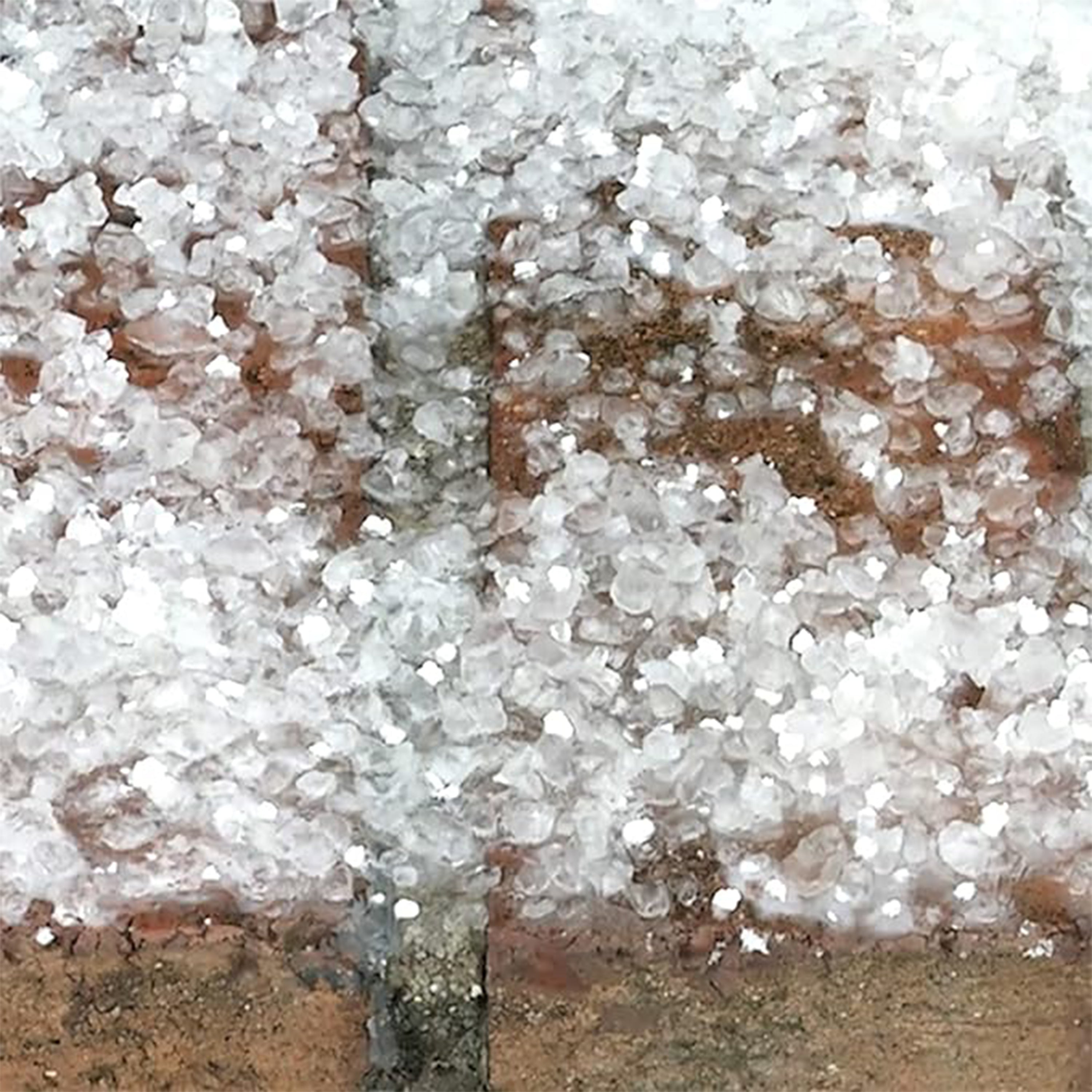 Snow Joe 112 Pack Calcium Chloride Ice Melt Snow Removal, 20 Lb, Blue, MELT20ESB
