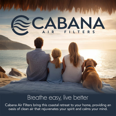 Cabana Air Filters 6 Pack HVAC Furnace, MERV 8, 20 x 30 x 1, White (Open Box) - VMInnovations