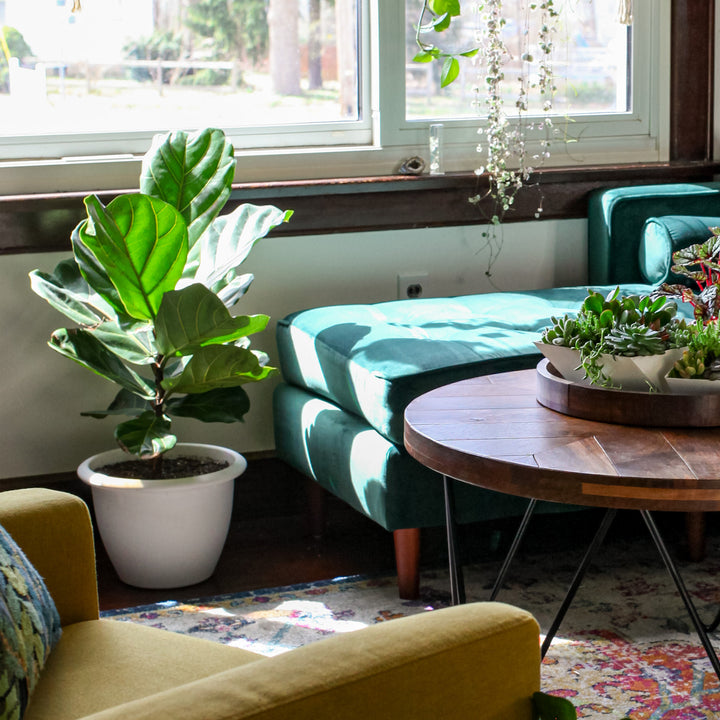 The HC Companies Sevilla Self-Watering Pot with Internal Disk, 16 In (Open Box)