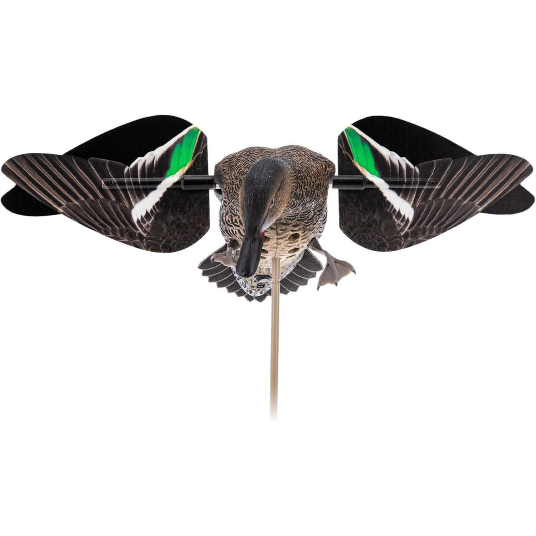 Avian X Powerflight Hen Teal Green Wing Duck Decoy with Wings, Stake & Carry Bag