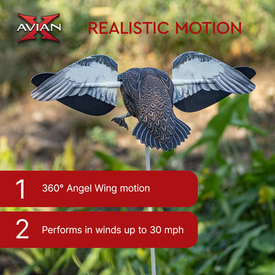 Avian X Powerflight Hen Teal Green Wing Duck Decoy with Wings (Open Box) - VMInnovations