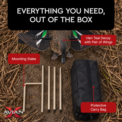 Avian X Powerflight Hen Teal Green Wing Duck Decoy with Wings, Stake & Carry Bag - VMInnovations