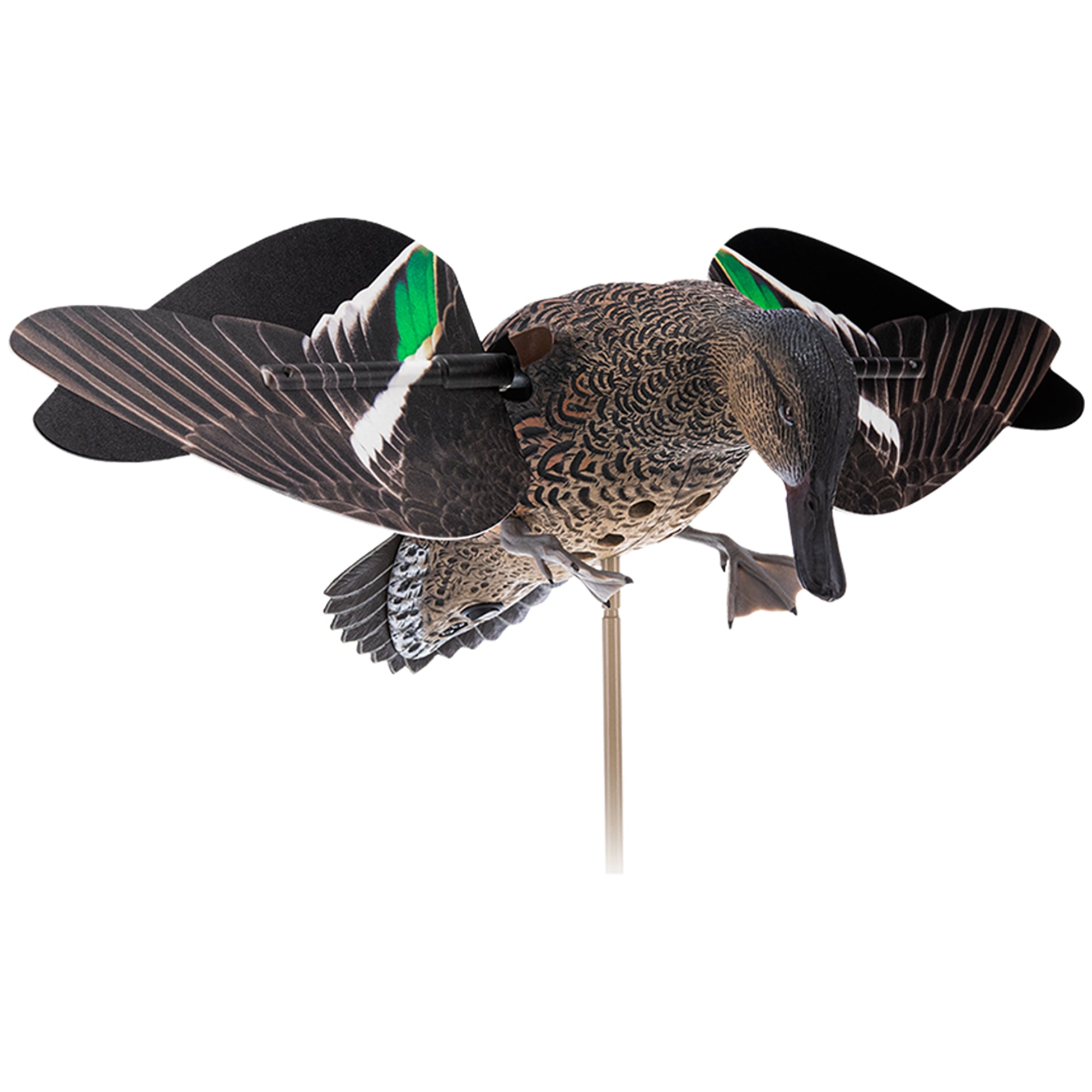 Avian X Powerflight Hen Teal Green Wing Duck Decoy with Wings, Stake & Carry Bag - VMInnovations