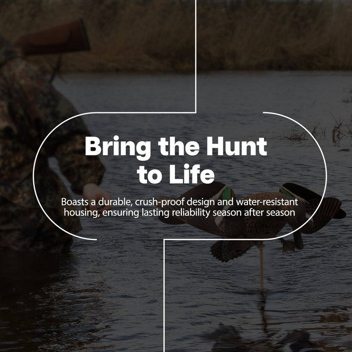 Avian X Powerflight Hen Teal Green Wing Duck Decoy with Wings (Open Box)