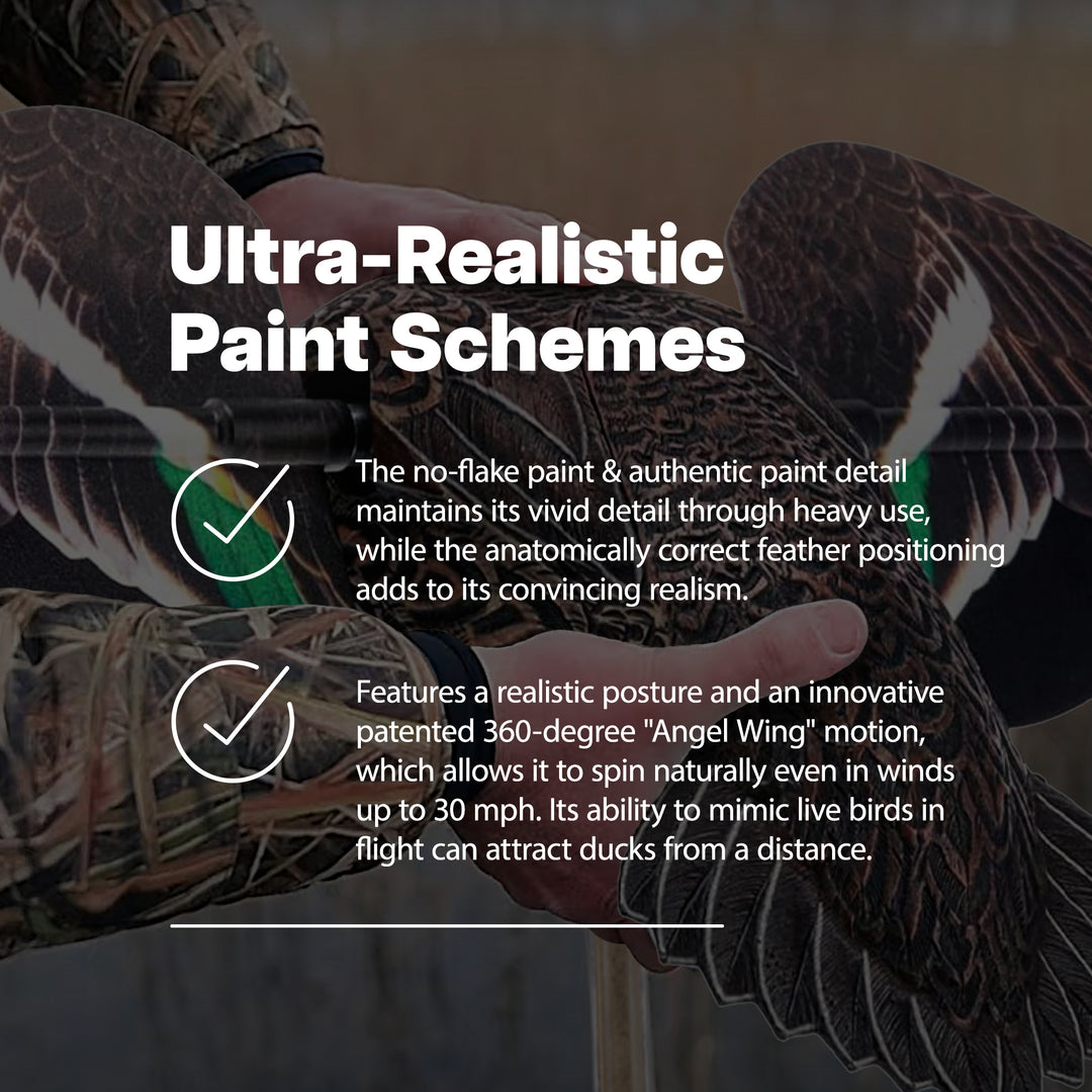 Avian X Powerflight Hen Teal Green Wing Duck Decoy with Wings (Open Box)