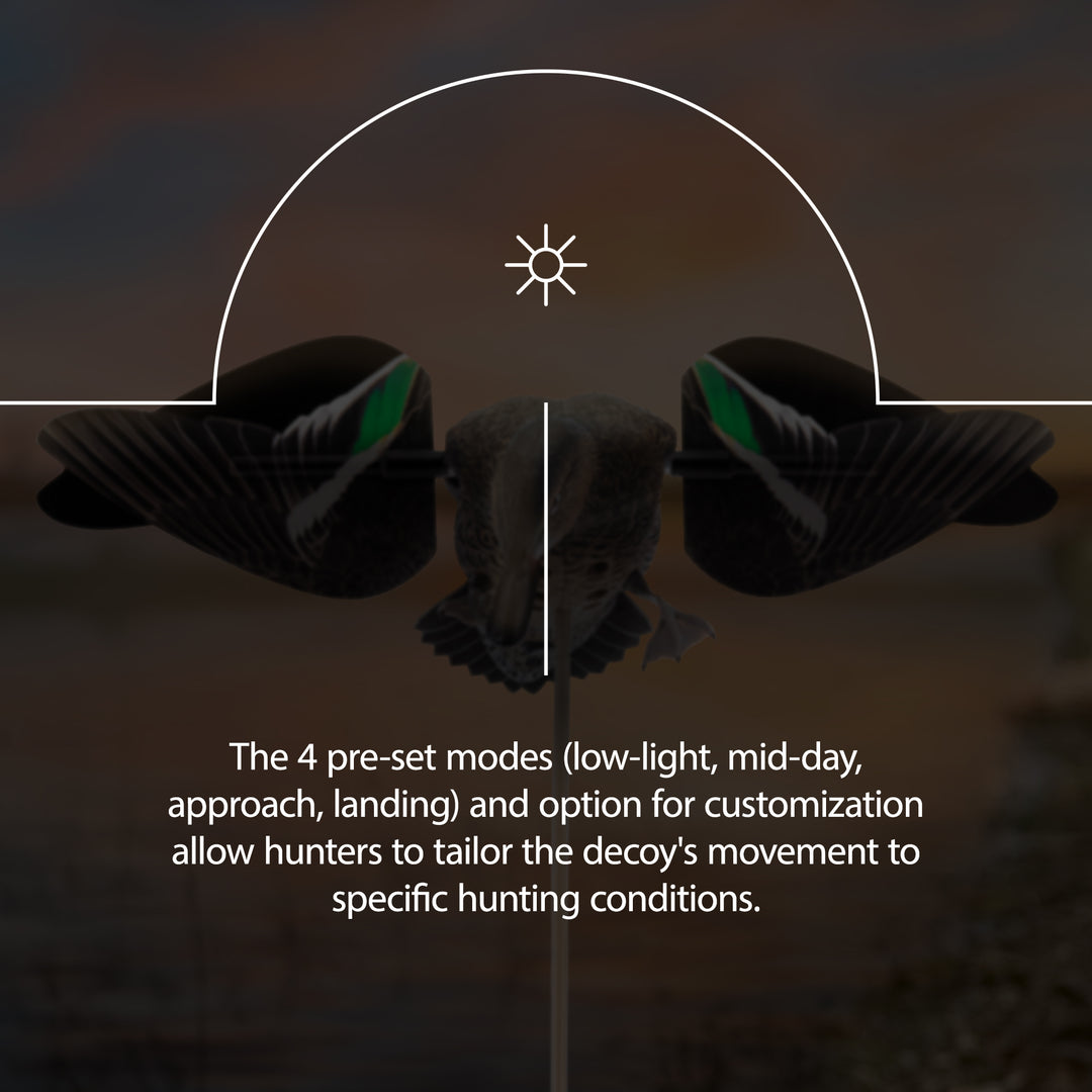 Avian X Powerflight Hen Teal Green Wing Duck Decoy with Wings (Open Box)