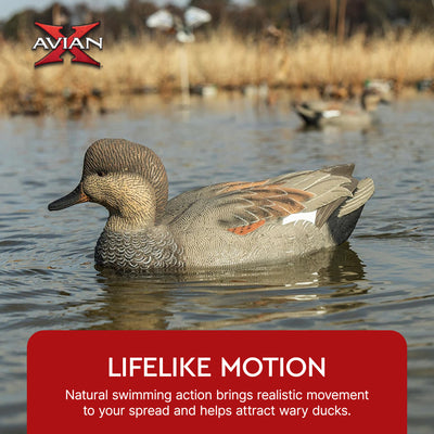 Avian X Power Swimmer Gadwall Drake Motion Duck Decoy with 10+ Hour Battery