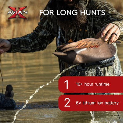 Avian X Power Swimmer Gadwall Drake Motion Duck Decoy with 10+ Hour Battery