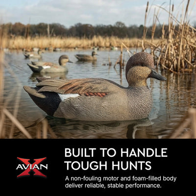 Avian X Power Swimmer Gadwall Drake Motion Duck Decoy with 10+ Hour Battery