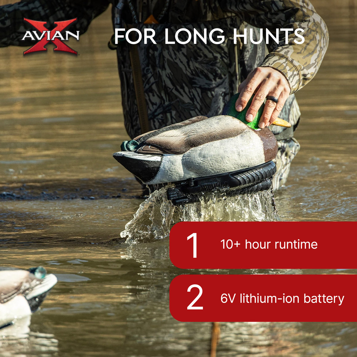 Avian X Power Swimmer Mallard Drake Motion Duck Decoy w/ Battery (Open Box)